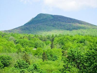 Caloroczne Domki Zacisze Hnatowego Berda W Wetlinie Wetlina Exterior photo